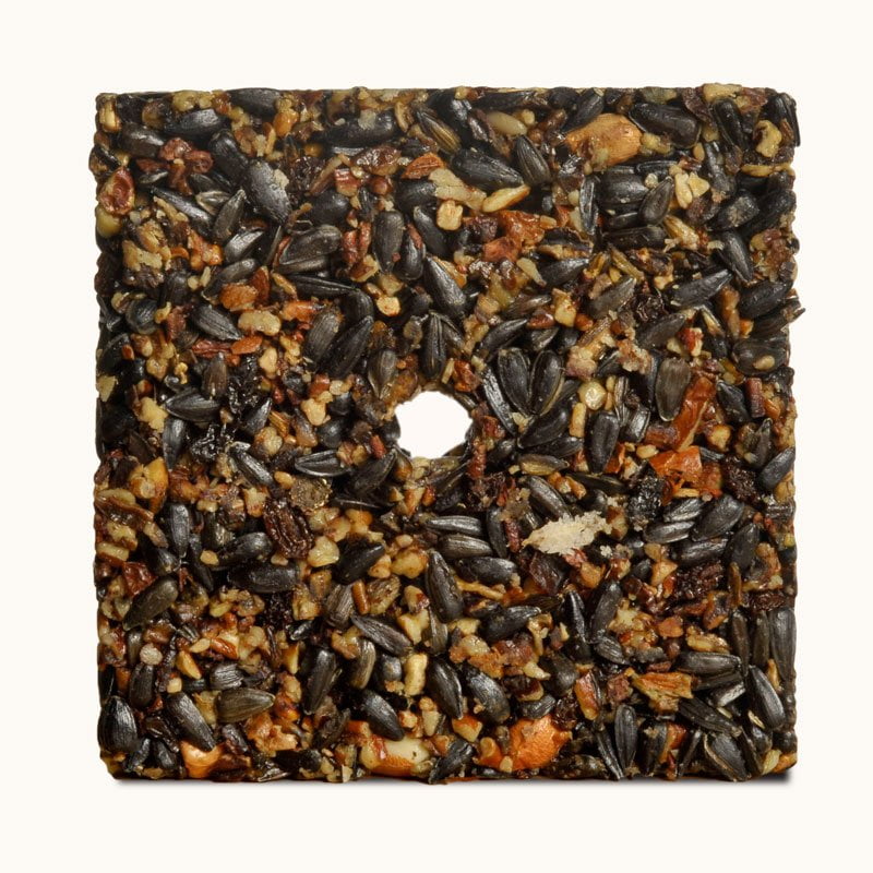 Woodpecker Feast Cake - Small - Image 3