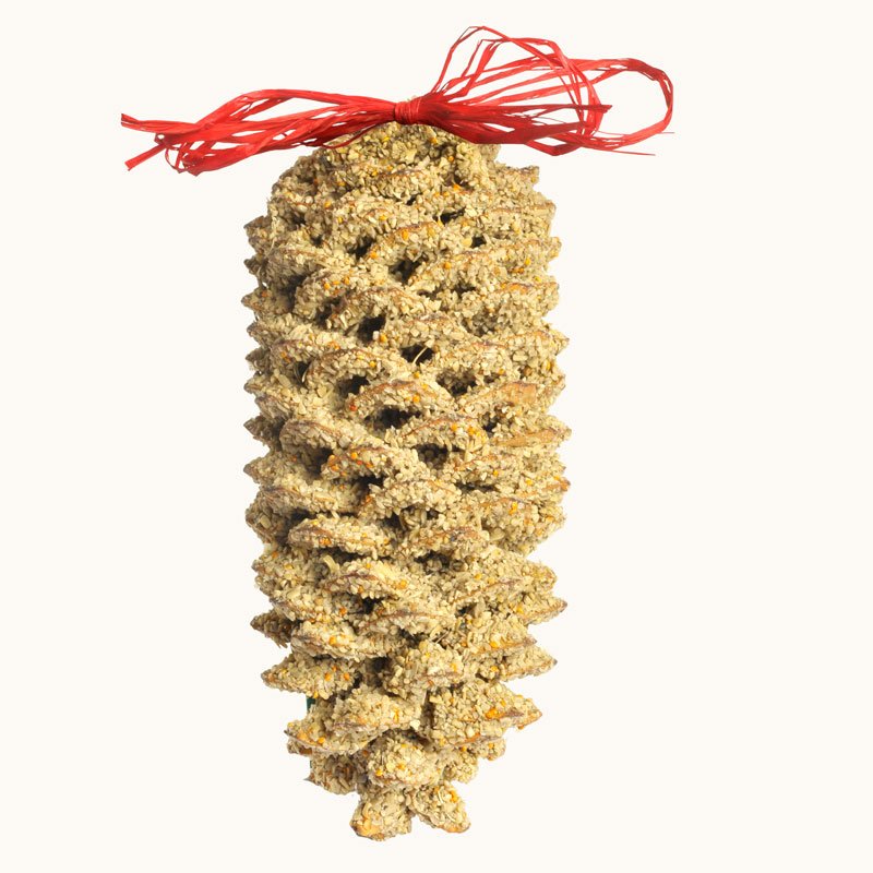 Giant Pine Cone - Image 8