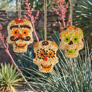 Seed Skulls