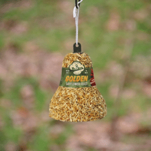 Golden Safflower Bell