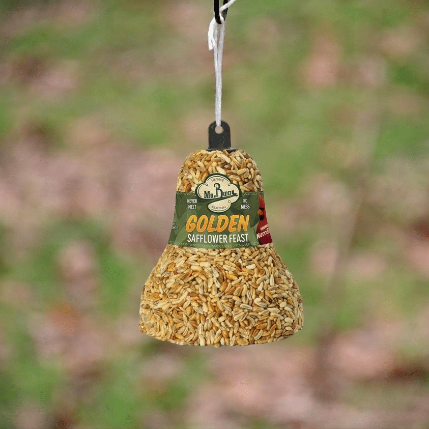 Golden Safflower Bell