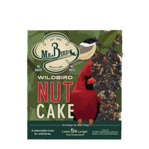 NutCake - Large