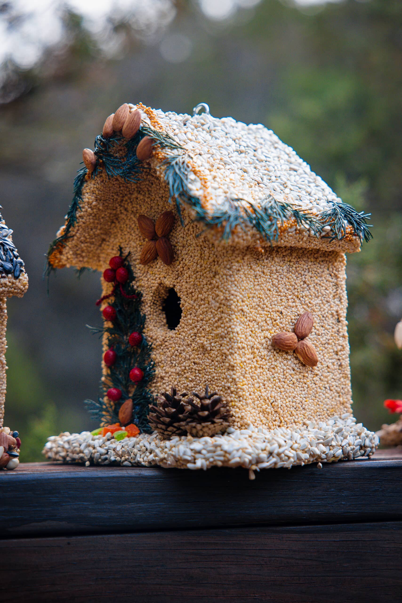 Juniper B&B - Image 8