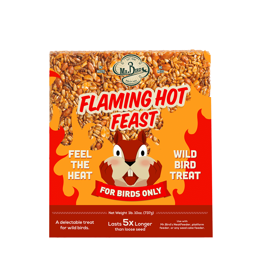 Flaming Hot Feast Cake - Large - Better Formula!