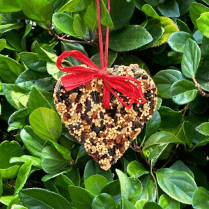 Little Heart