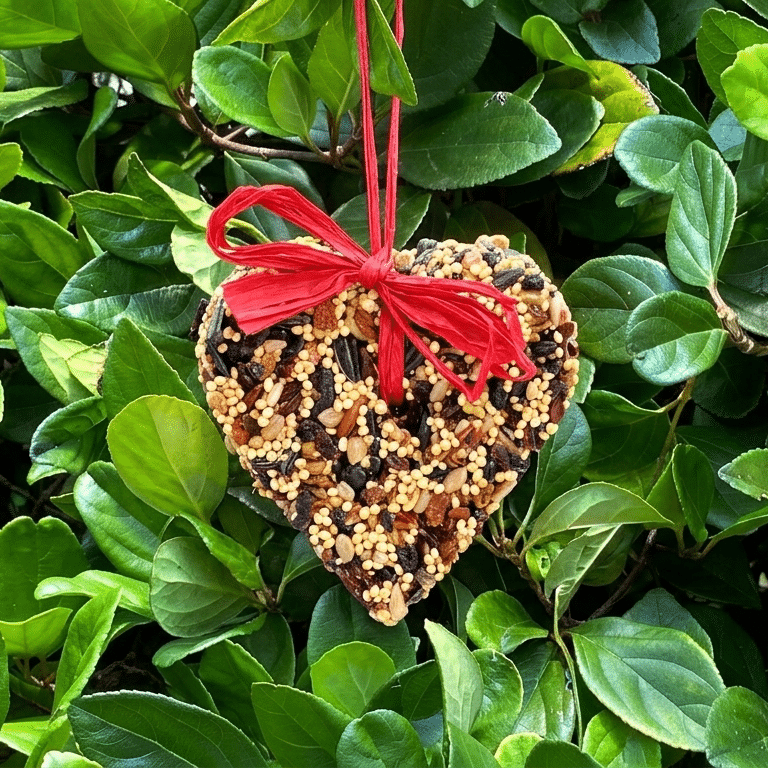 Little Heart