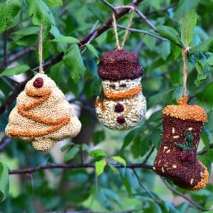 Christmas Shapes Singles