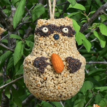 Woodland Friends - Raccoon