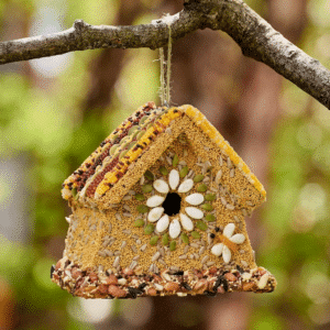 The Rustic Wren
