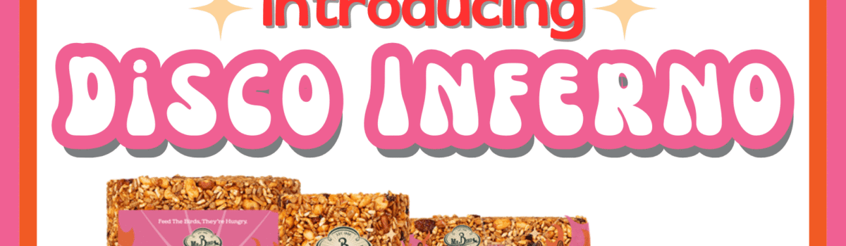 Burn Baby Burn! Introducing Disco Inferno