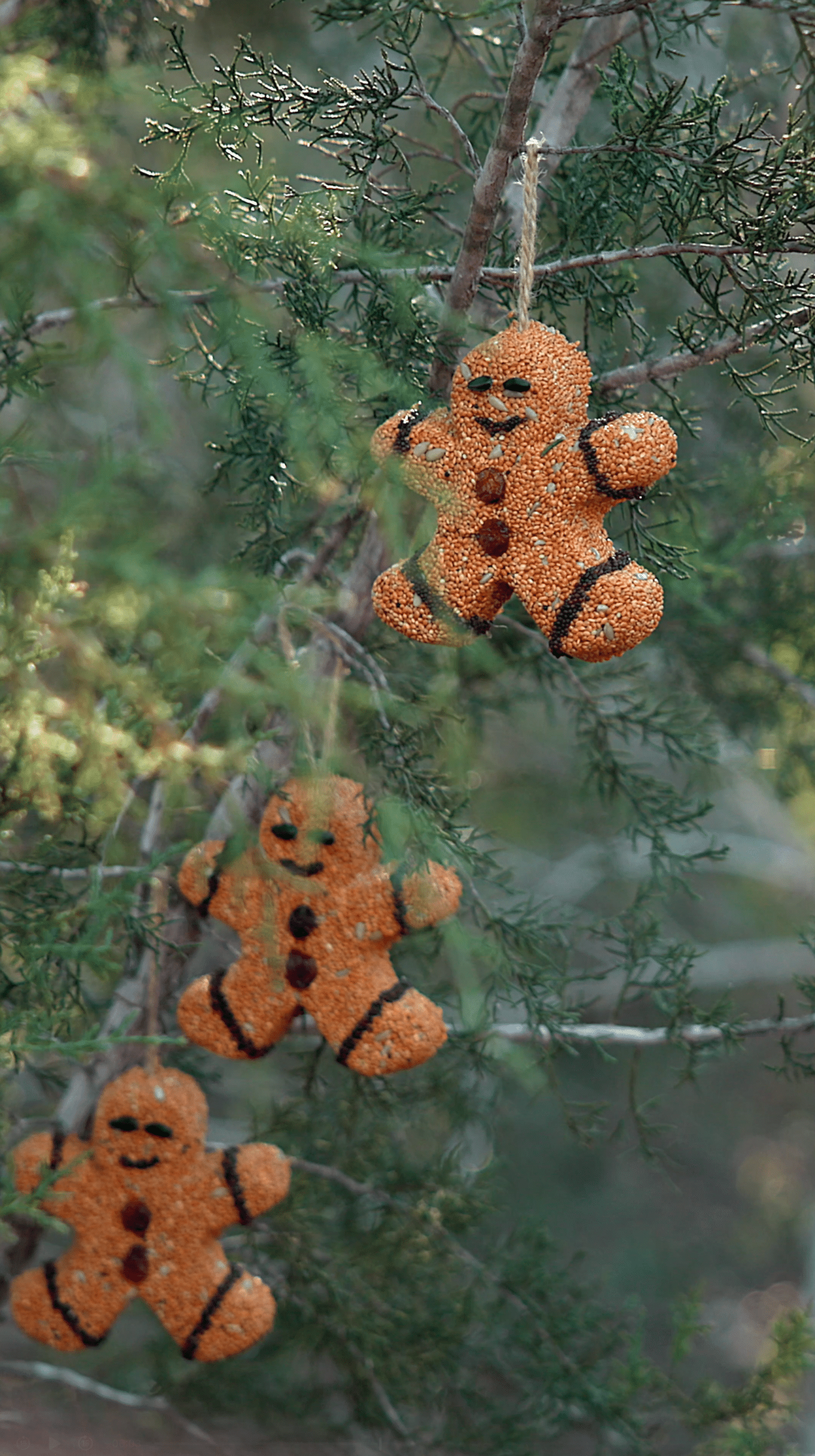 Gingerbread Men - 3 pack - Image 9