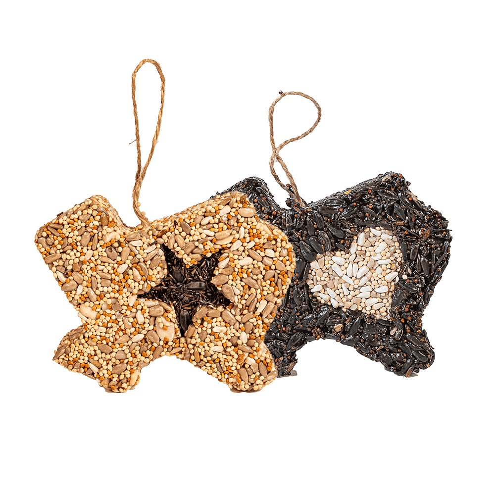 Lone Star Seed Treat - Image 3