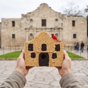 Mission San Antonio de Valero "The Alamo"